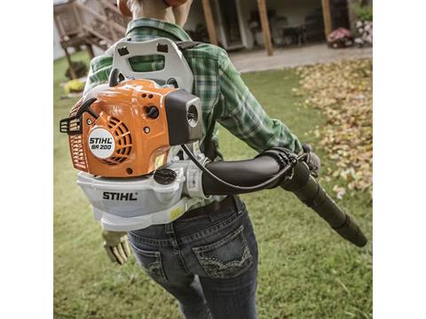 Stihl BR 200 in Calmar, Iowa - Photo 4