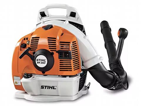 Stihl BR 350 in Mio, Michigan