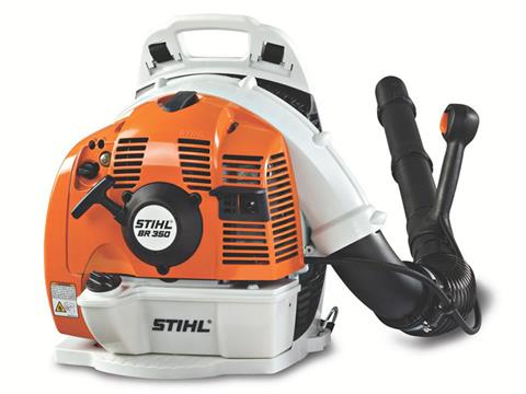 Stihl BR 350 in Stratford, Wisconsin