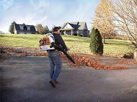 Stihl BR 430 in Mio, Michigan - Photo 3