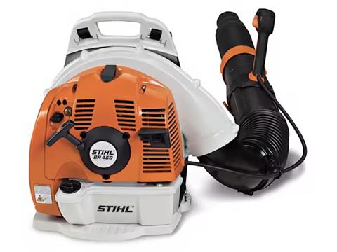 Stihl BR 450 in Mio, Michigan