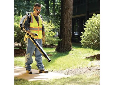 Stihl BR 500 in Calmar, Iowa - Photo 4
