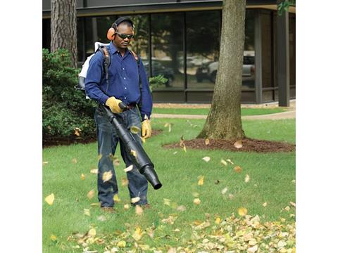 Stihl BR 500 in Calmar, Iowa - Photo 5