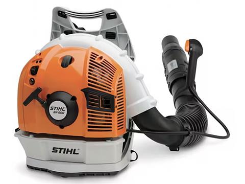 Stihl BR 600 in Mio, Michigan