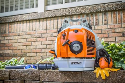 Stihl BR 600 in Stratford, Wisconsin - Photo 5