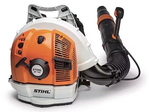 Stihl BR 700 in Mio, Michigan
