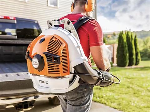 Stihl BR 700 in Mio, Michigan - Photo 6