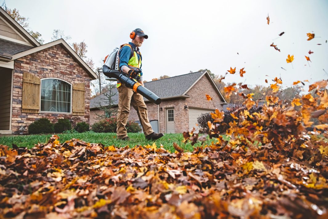 Stihl BR 800 C-E MAGNUM in Stratford, Wisconsin - Photo 5