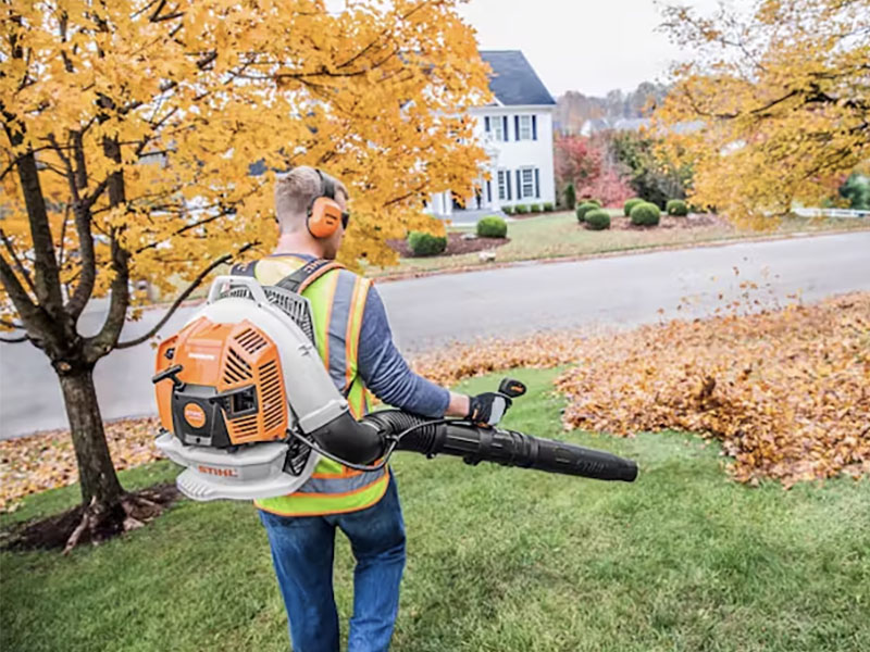Stihl BR 800 X MAGNUM in Mio, Michigan - Photo 4