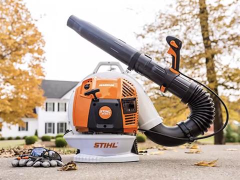 Stihl BR 800 X MAGNUM in Mio, Michigan - Photo 5