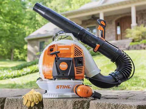 Stihl BR 800 X MAGNUM in Mio, Michigan - Photo 8