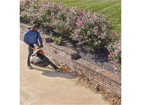 2024 Stihl SHA 56 in Saint Maries, Idaho - Photo 5