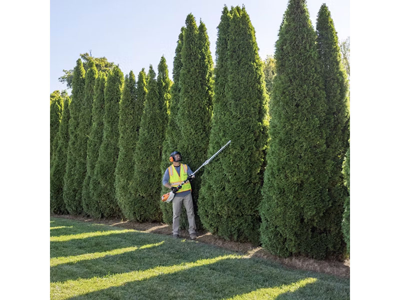 Stihl HLA 135 K (0°) w/ AP 200 Battery & AL 301 Charger in Calmar, Iowa - Photo 3