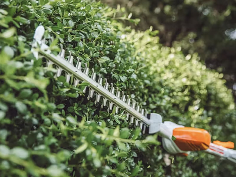 Stihl HLA 56 w/ AK 20 Battery & AL101 Charger in Mio, Michigan - Photo 2