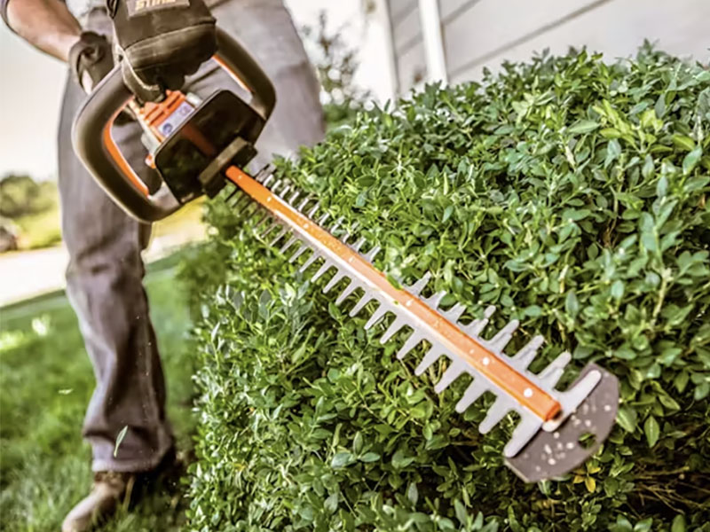 Stihl HSA 45 in Calmar, Iowa - Photo 4