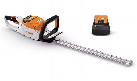 Stihl HSA 60 w/ AK 10 and AL 101 Charger in Calmar, Iowa