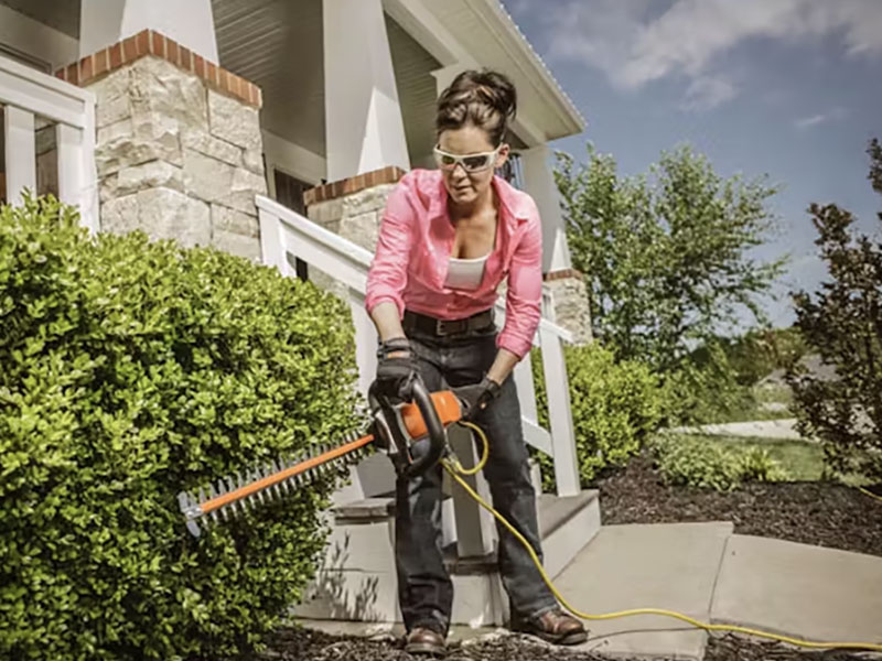 Stihl HSE 52 in Mio, Michigan - Photo 2