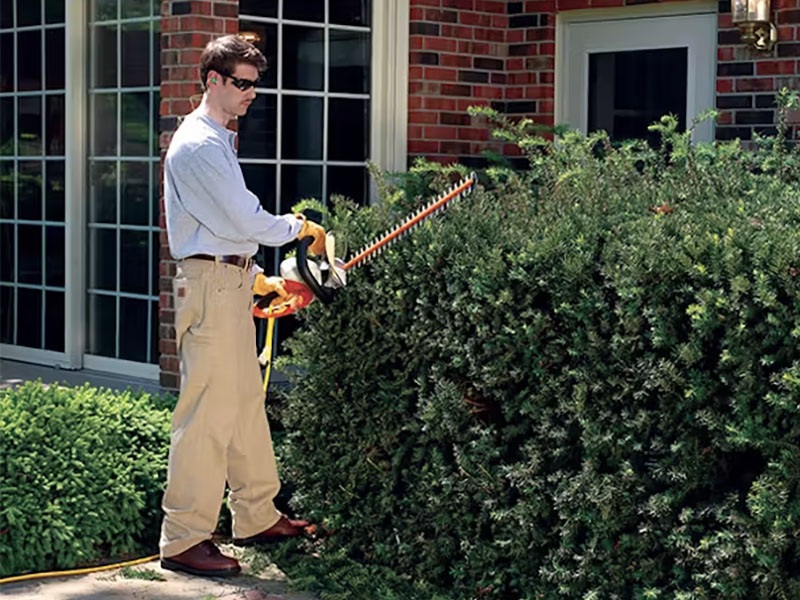 Stihl HSE 70 in Mio, Michigan - Photo 4
