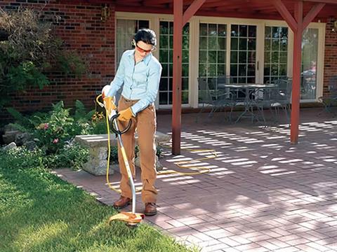 Stihl FSE 60 in Calmar, Iowa - Photo 2
