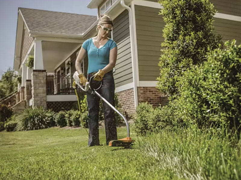 Stihl FSE 60 in Calmar, Iowa - Photo 3