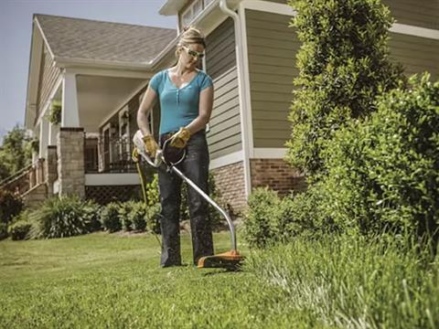 Stihl FSE 60 in Calmar, Iowa - Photo 3