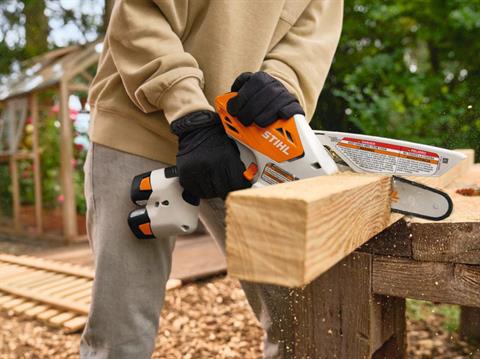 Stihl GTA 30 Set in Stratford, Wisconsin - Photo 4