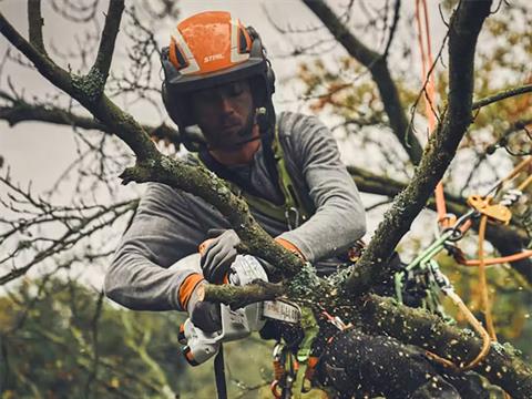 Stihl GTA 40 w/ 2 AS 2 Batteries & AL 5-2 Charger in Calmar, Iowa - Photo 5