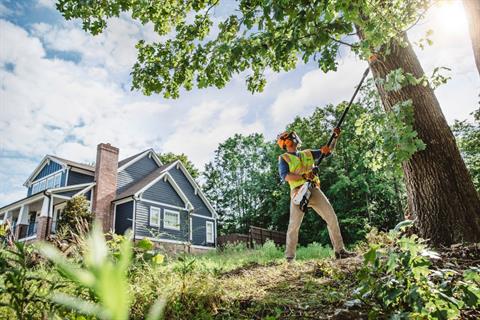Stihl HTA 135 (Unit Only) in Stratford, Wisconsin - Photo 3