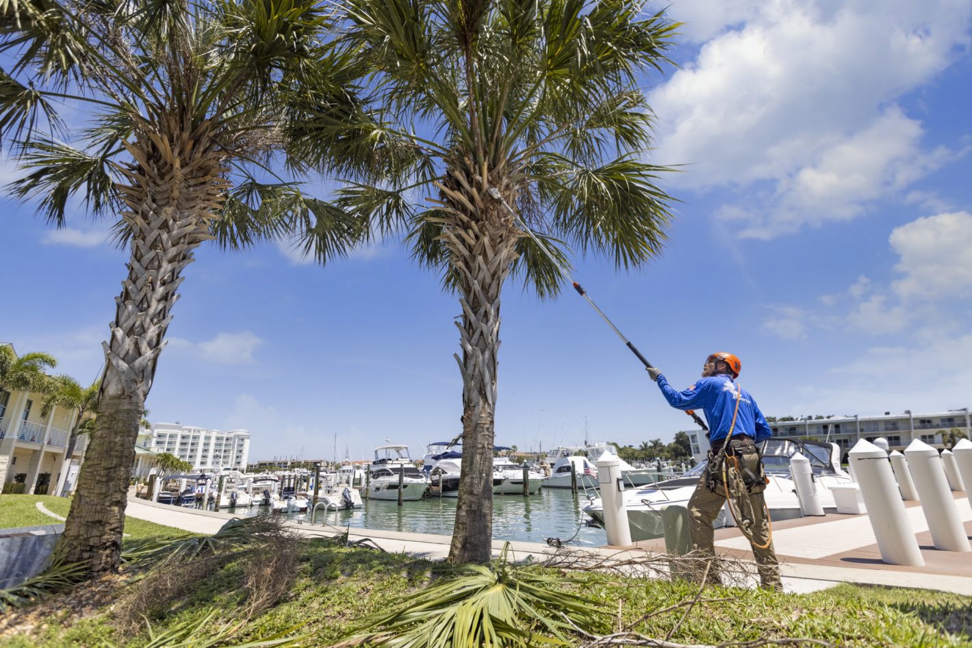Stihl HTA 135 (Unit Only) in Stratford, Wisconsin - Photo 5