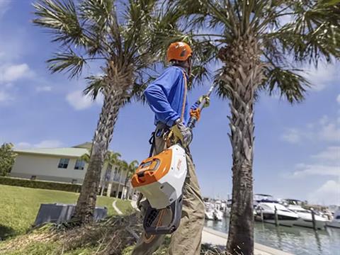 Stihl HTA 135 w/ AP 300 S Battery & AL 301 Charger in Calmar, Iowa - Photo 6