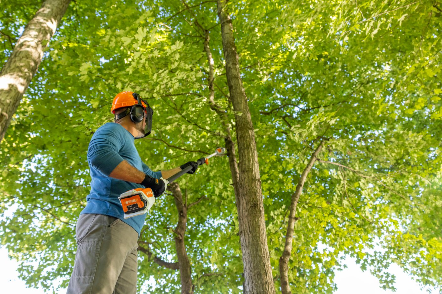 Stihl HTA 50 (Unit Only) in Stratford, Wisconsin - Photo 3