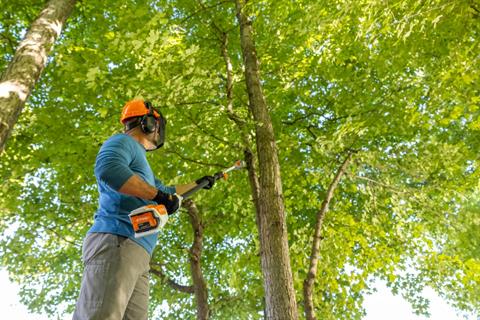 Stihl HTA 50 (Unit Only) in Stratford, Wisconsin - Photo 3