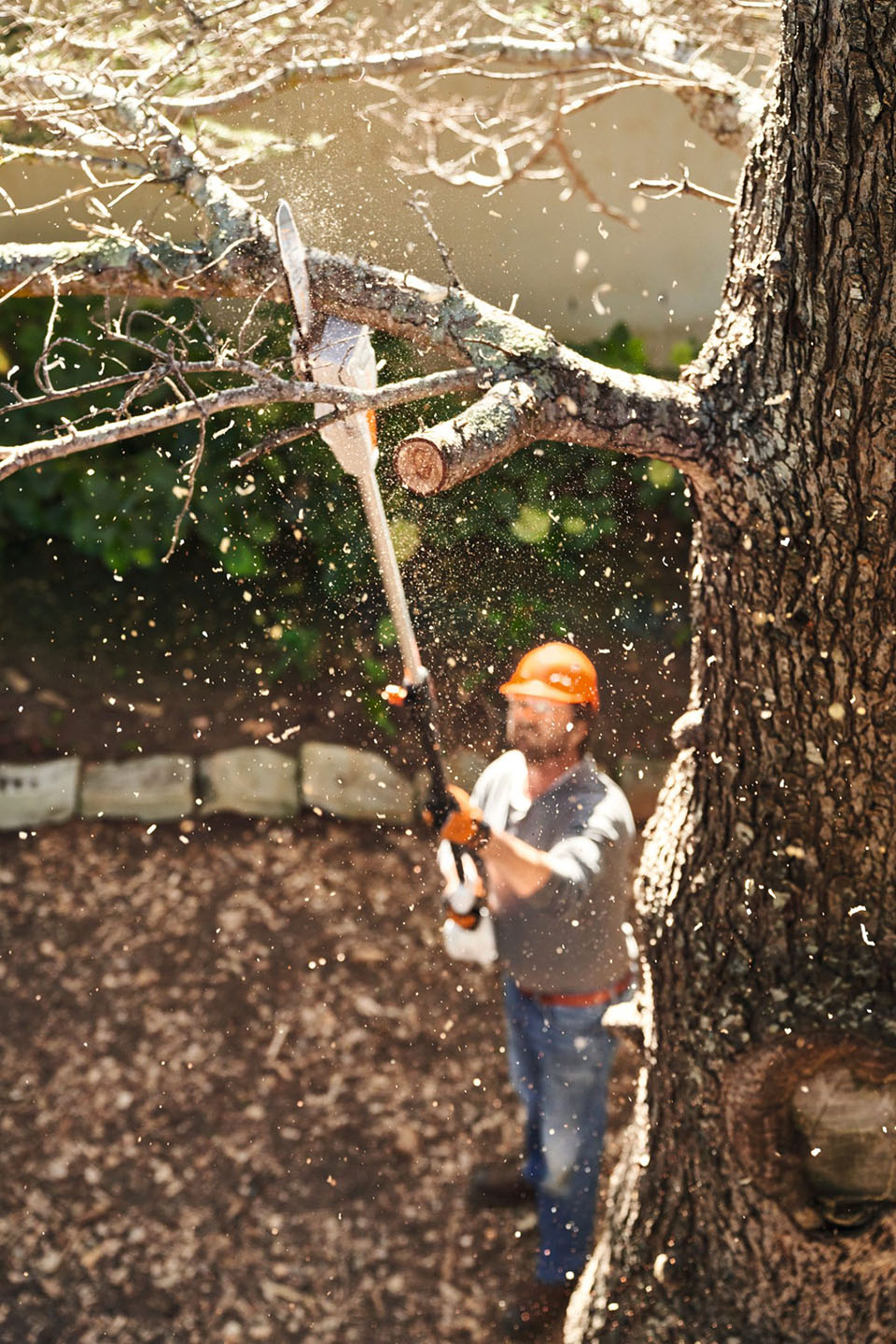 Stihl HTA 50 (Unit Only) in Stratford, Wisconsin - Photo 5