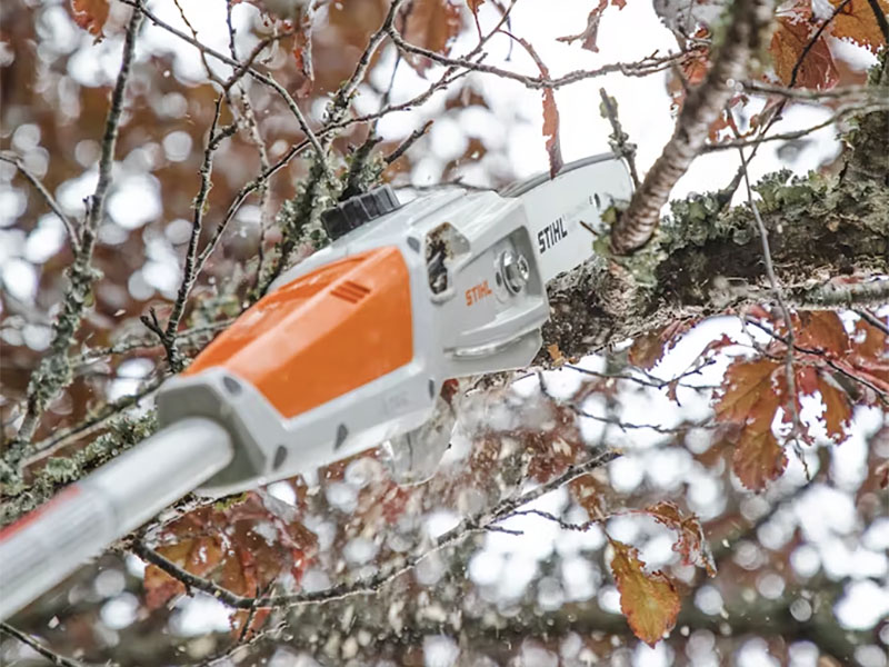 Stihl HTA 50 w/ AK 30 Battery & AL 101 Charger in Calmar, Iowa - Photo 2