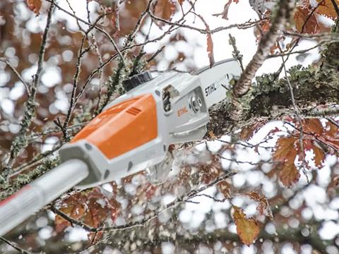 Stihl HTA 50 w/ AK 30 Battery & AL 101 Charger in Calmar, Iowa - Photo 2