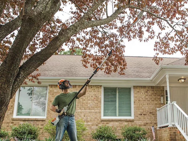 Stihl HTA 50 w/ AK 30 Battery & AL 101 Charger in Calmar, Iowa - Photo 4