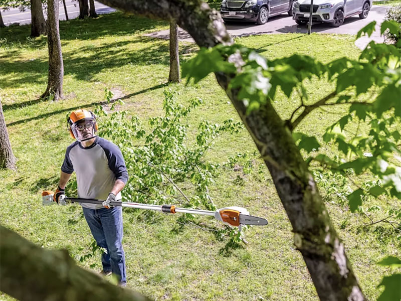 Stihl HTA 86 w/ AP 300 S Battery & AL 301 Charger in Calmar, Iowa - Photo 3