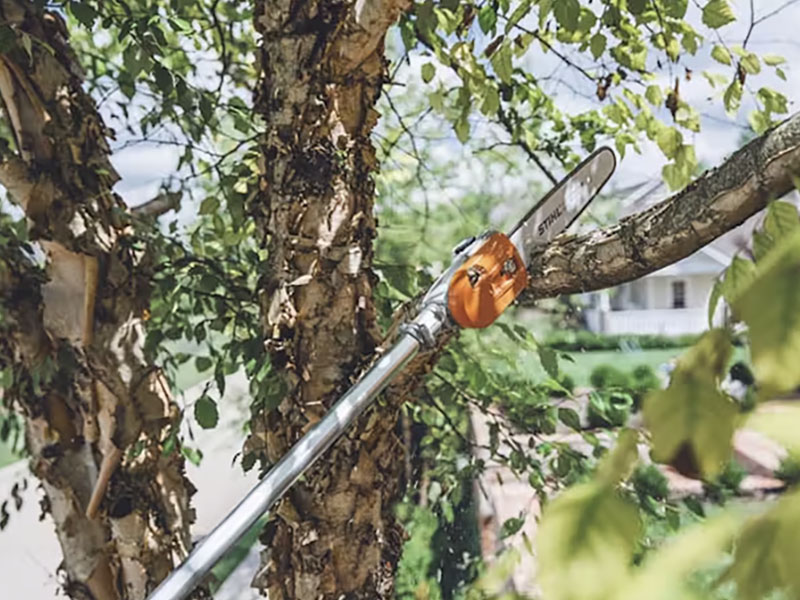 Stihl HT 135 in Calmar, Iowa - Photo 4