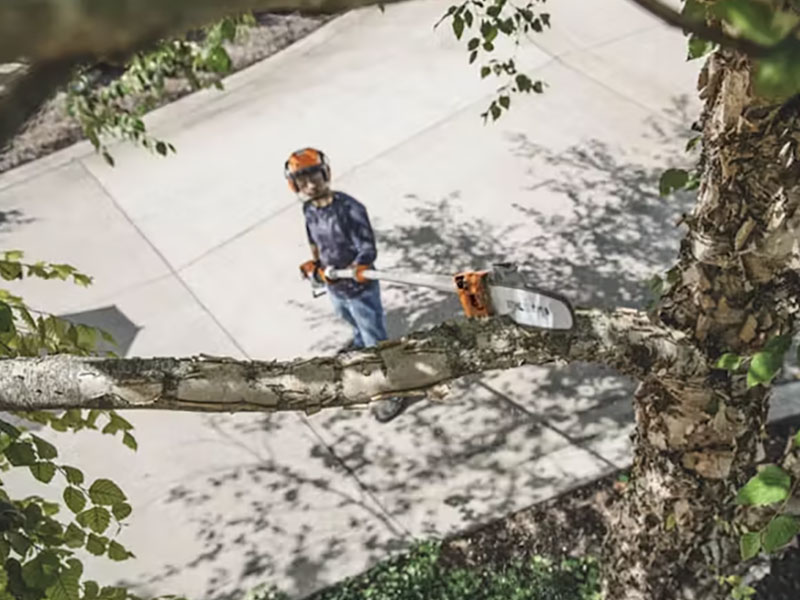 Stihl HT 135 in Calmar, Iowa - Photo 5