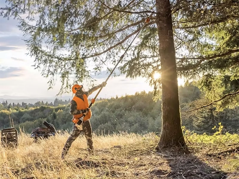 Stihl HT 135 in Calmar, Iowa - Photo 8