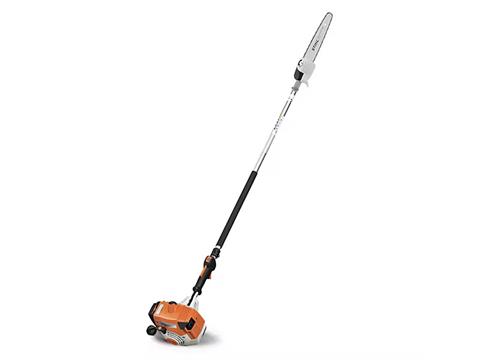 Stihl HT 250 in Mio, Michigan
