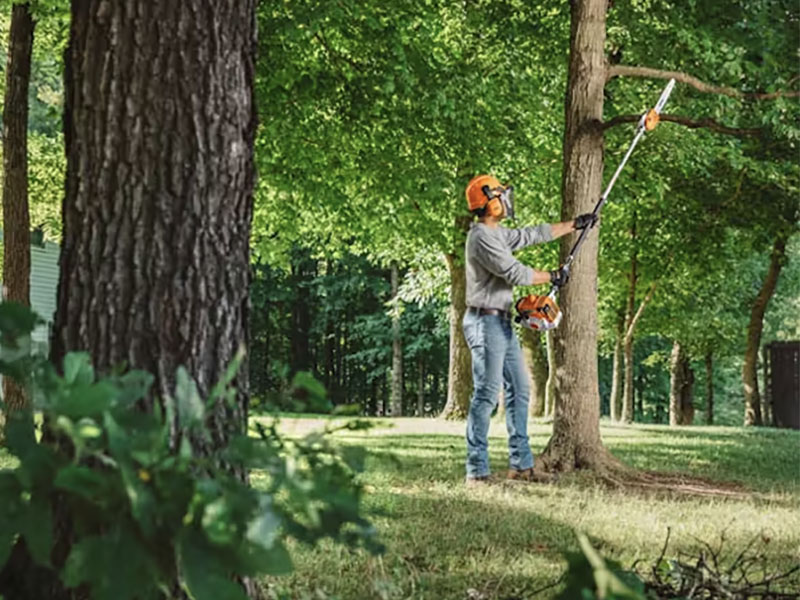 Stihl HT 250 in Calmar, Iowa - Photo 3