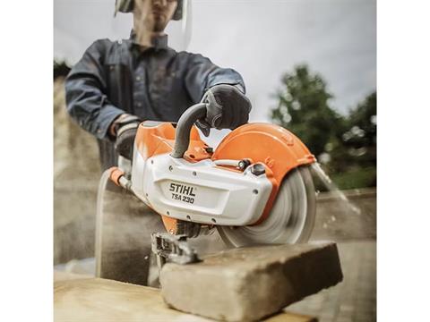 Stihl TSA 230 w/ AP 500 S Battery & AL 300 Charger in Calmar, Iowa - Photo 4