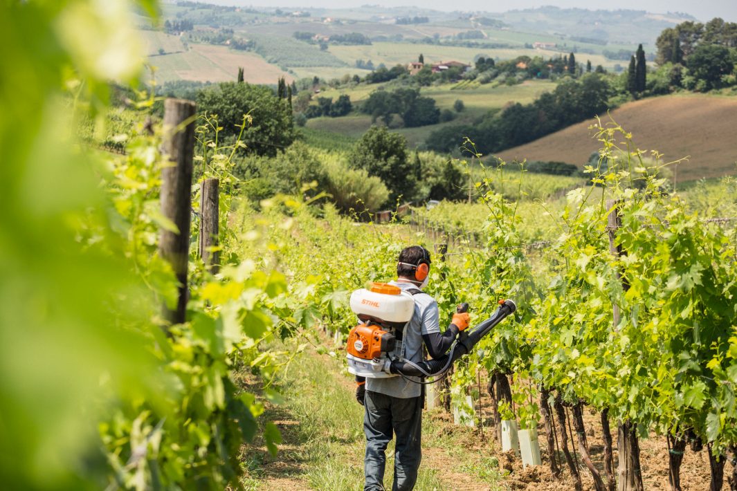 Stihl SR 200 in Stratford, Wisconsin - Photo 6