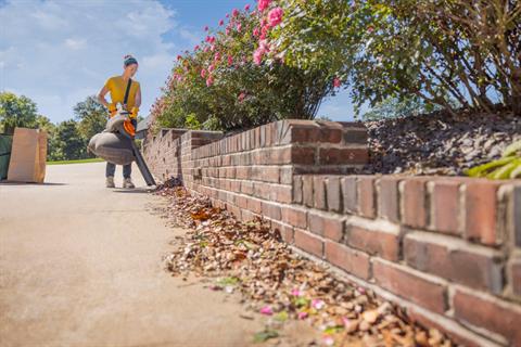 Stihl SHA 56 (Unit Only) in Stratford, Wisconsin - Photo 4