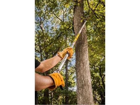 2023 Stihl PP 100 Extended Reach Pruner in Calmar, Iowa - Photo 2