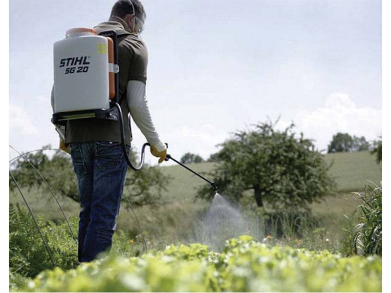 2024 Stihl SG 20 in Calmar, Iowa - Photo 3