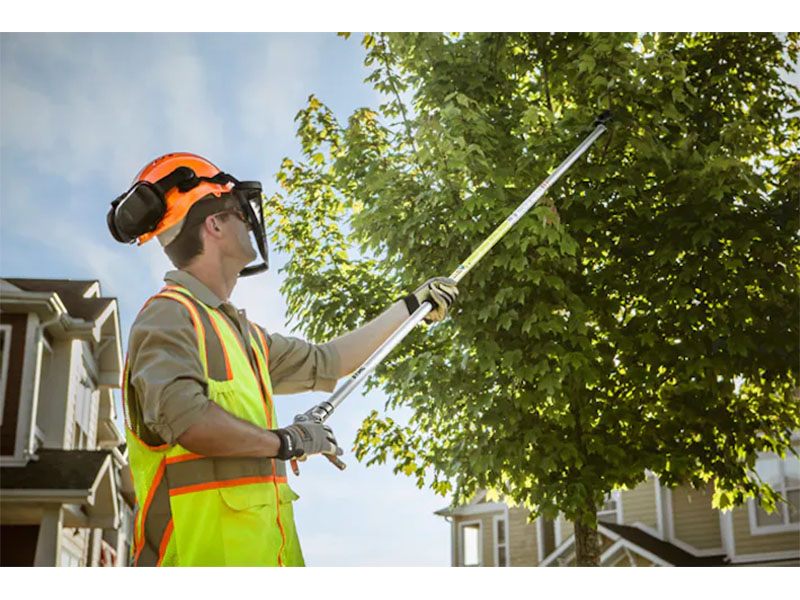2024 Stihl PP 101 Long Reach Pruner in Calmar, Iowa - Photo 2