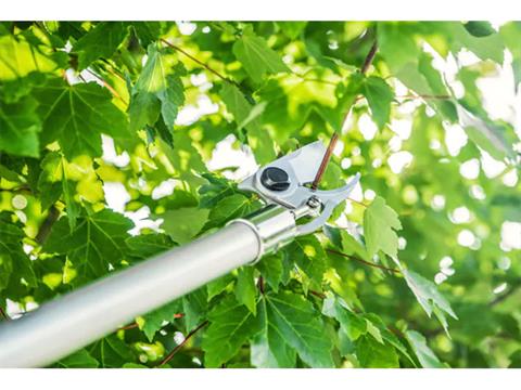 2024 Stihl PP 101 Long Reach Pruner in Calmar, Iowa - Photo 3