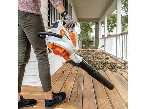 2025 Stihl SHA 56 w/ AL101 & AK20 in Calmar, Iowa - Photo 8